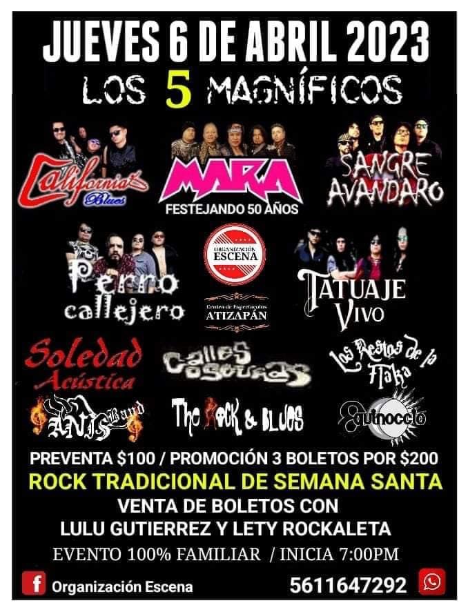 Los 5 magníficos  image 1